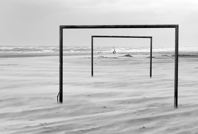 联合举办提 联合举办提