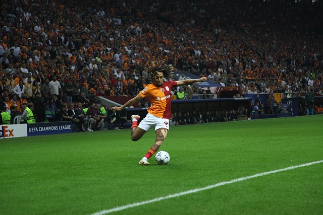 的学习过程 的学习过程