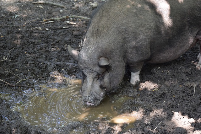 从技术层面 从技术层面